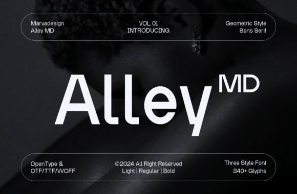 Alley Md Typeface for Modern Editorial Design