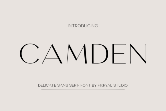 Camden Typeface for Elegant Web Design