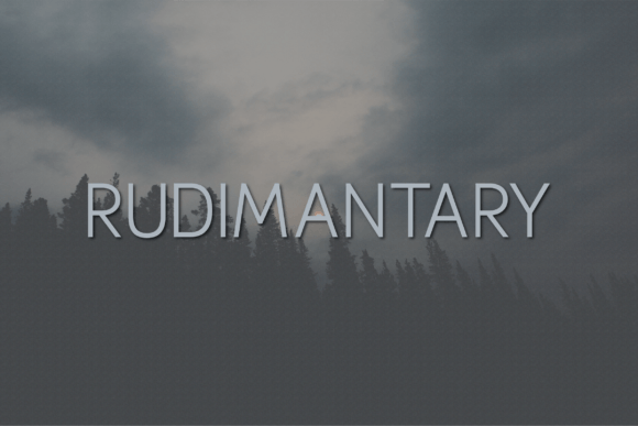 Rudimantary: A Modern Sans Serif Typeface for Bold Campaigns